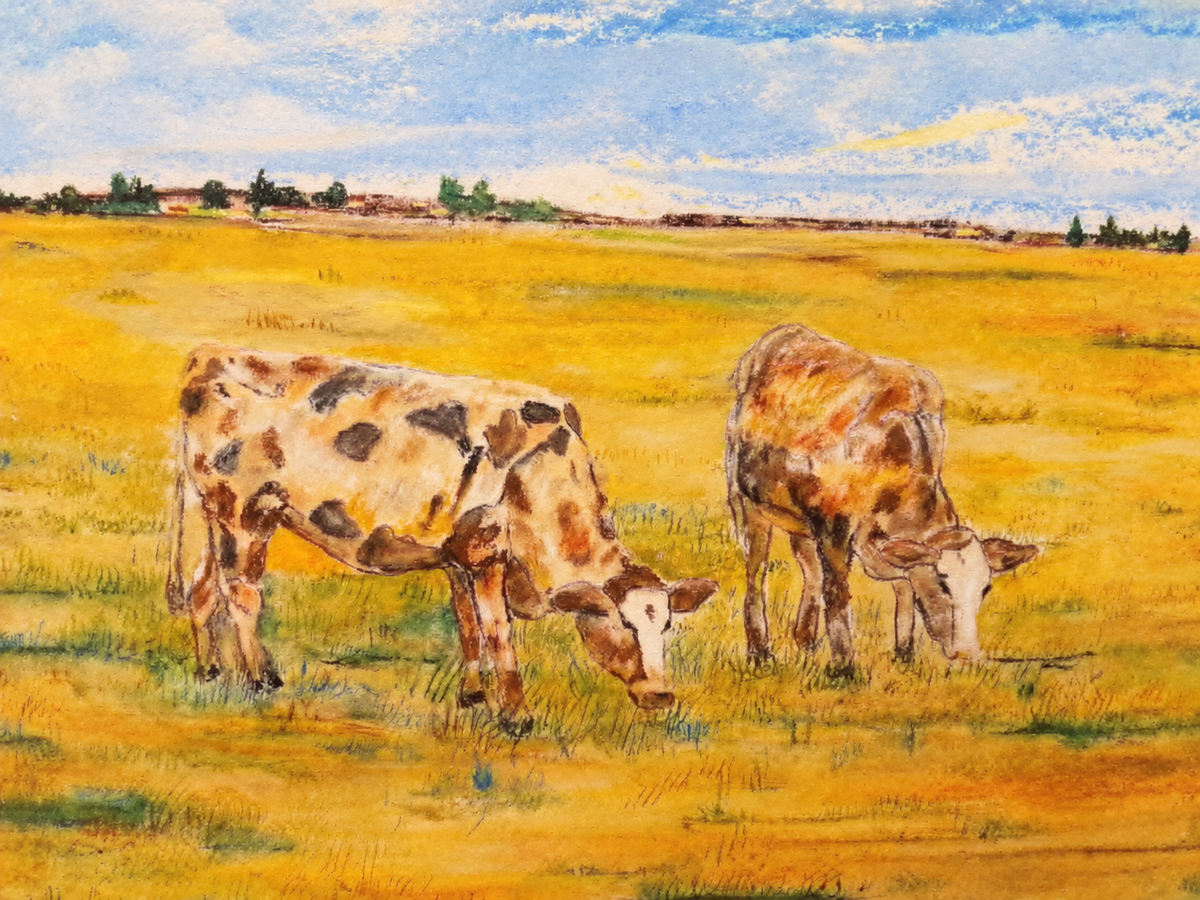 Landscape