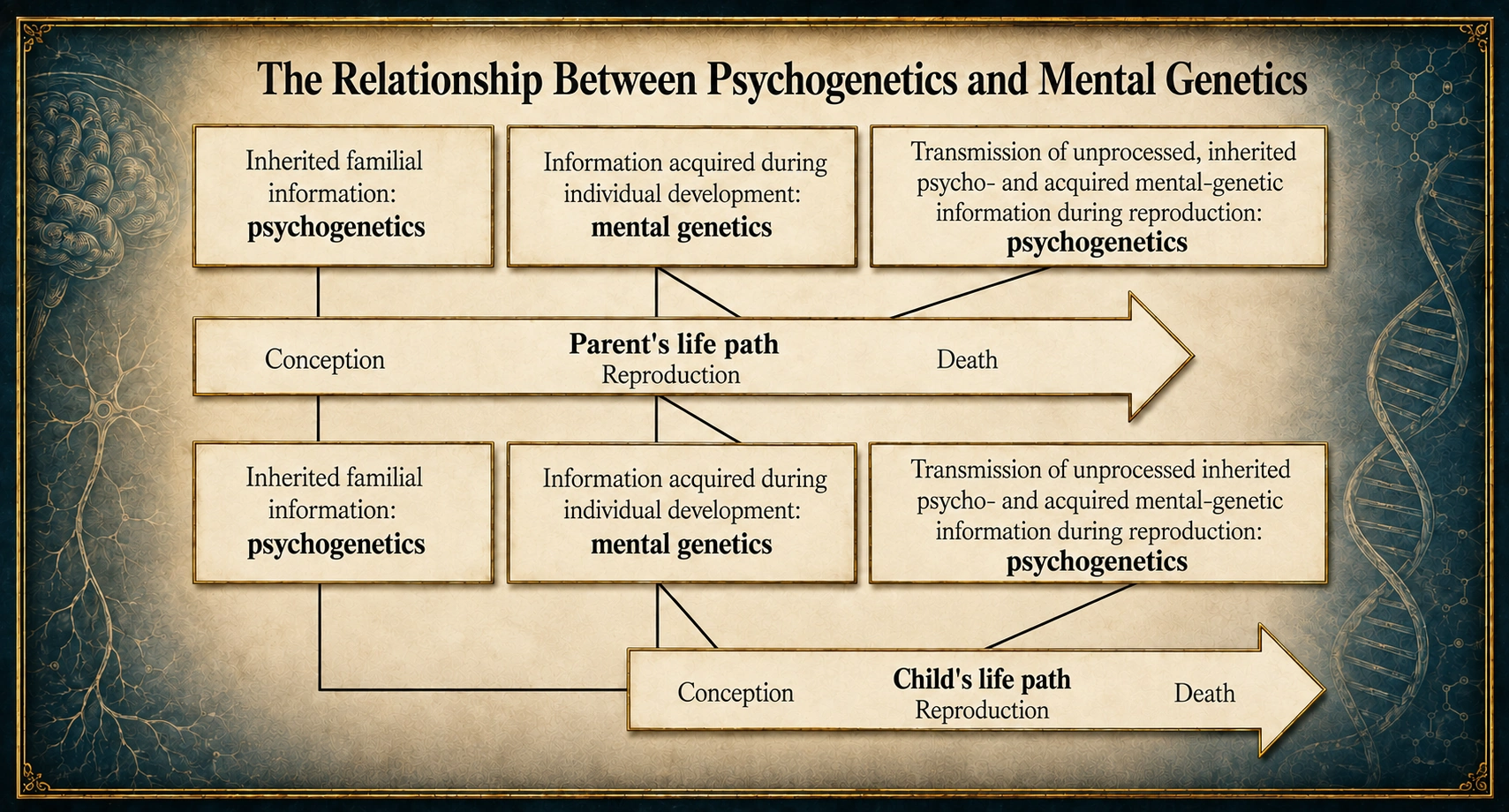 Psychogenetics diagram